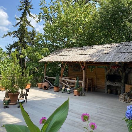 Anano'S Guesthouse Боржоми Екстериор снимка