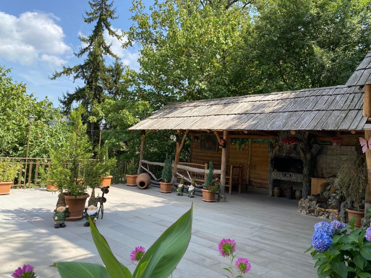 Anano'S Guesthouse Боржоми Екстериор снимка