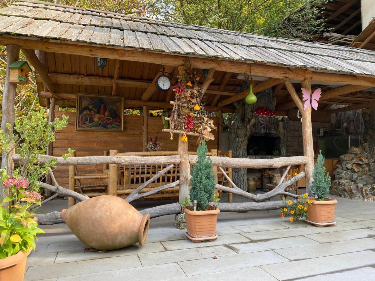 Anano'S Guesthouse Боржоми Екстериор снимка