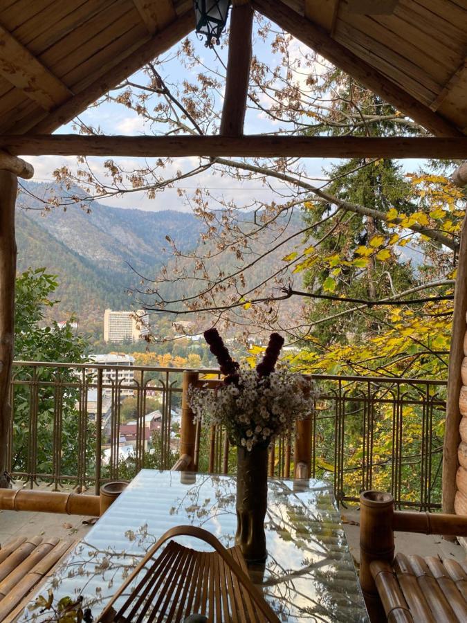 Anano'S Guesthouse Боржоми Екстериор снимка