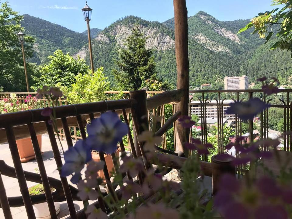 Anano'S Guesthouse Боржоми Екстериор снимка